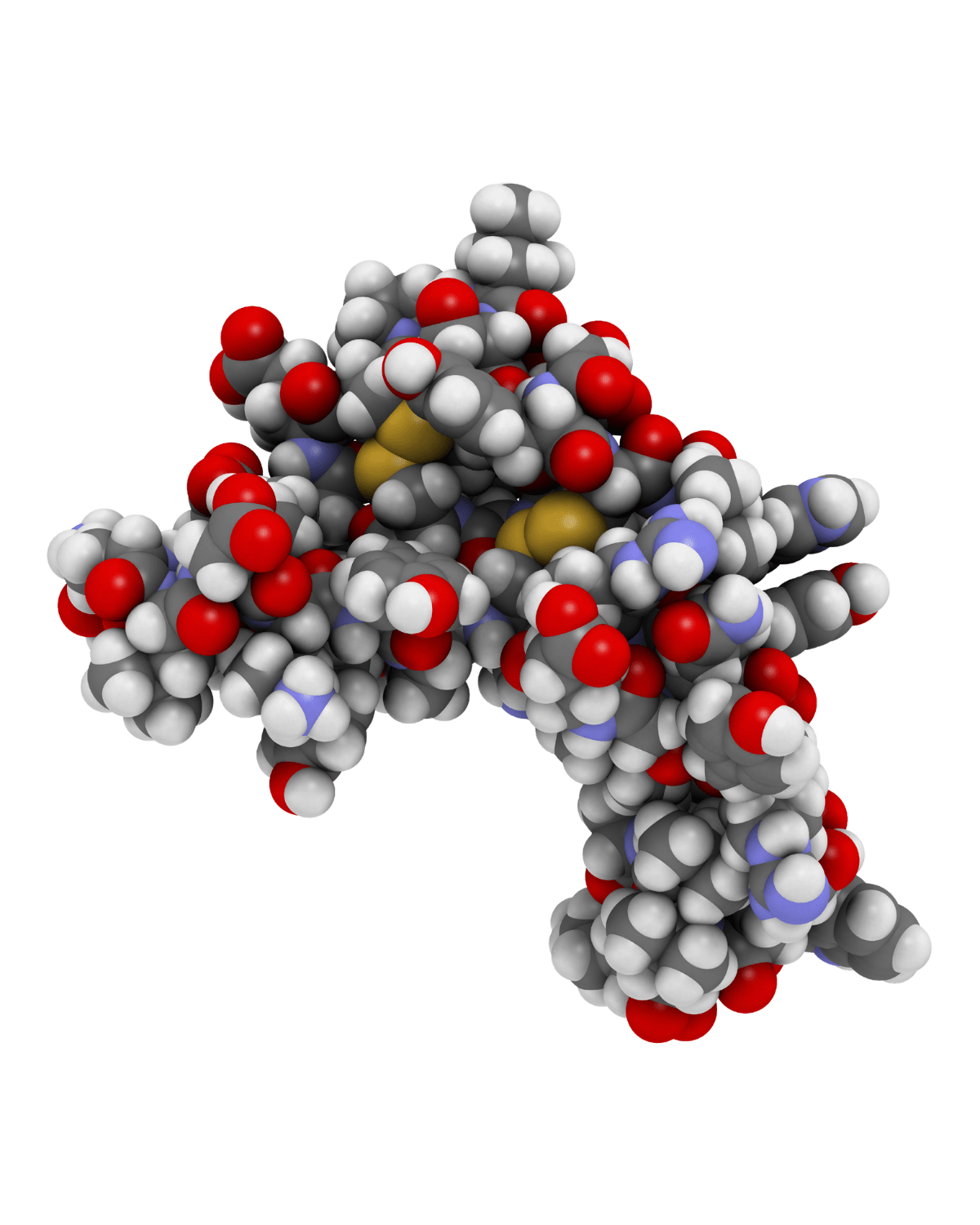 Epidemal Growth Factor Protein Structure