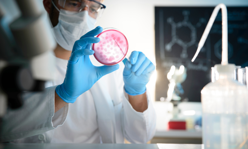 A scientist looking at a disc, bioburden control.